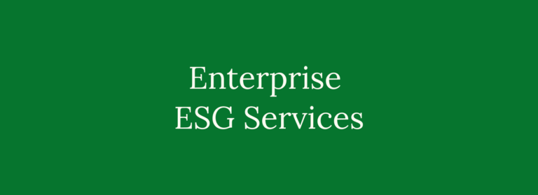 A green box with the words Enterprise ESG Services written inside of the box