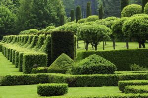 A photo of topiaries of various shapes