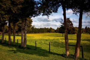 alabama, farm, meadow-1618300.jpg